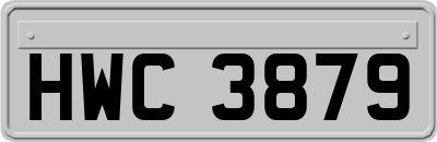 HWC3879