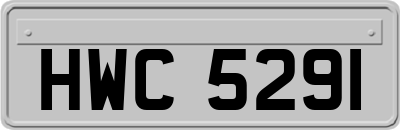 HWC5291