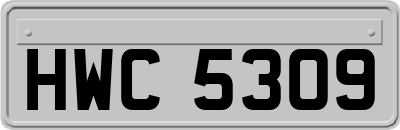 HWC5309