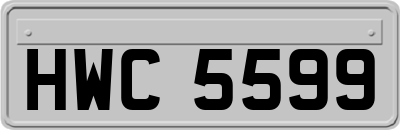 HWC5599
