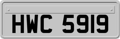 HWC5919