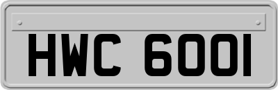 HWC6001