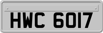 HWC6017