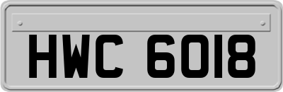 HWC6018