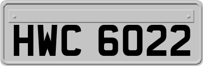 HWC6022