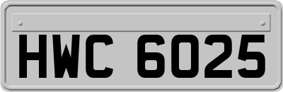 HWC6025