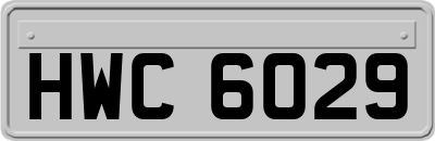 HWC6029