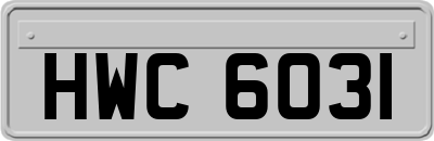 HWC6031