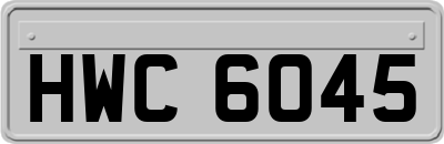HWC6045