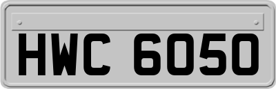 HWC6050