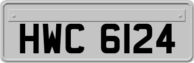 HWC6124