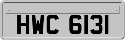 HWC6131