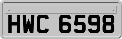 HWC6598