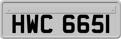 HWC6651
