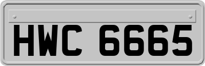 HWC6665