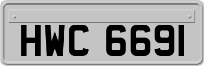 HWC6691