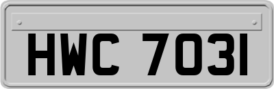 HWC7031