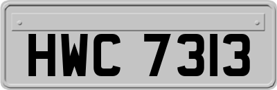 HWC7313