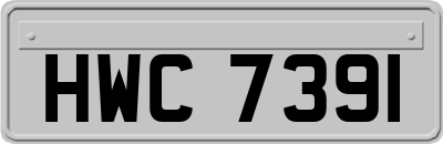 HWC7391