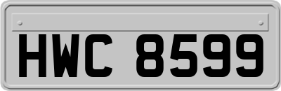 HWC8599