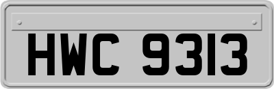 HWC9313