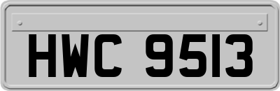 HWC9513