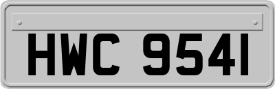 HWC9541