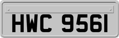 HWC9561