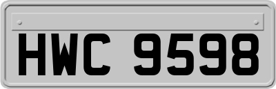 HWC9598