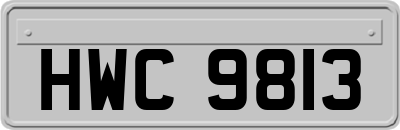 HWC9813