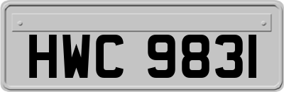 HWC9831
