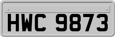 HWC9873