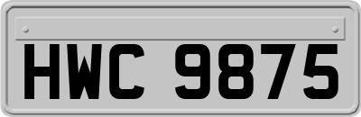 HWC9875
