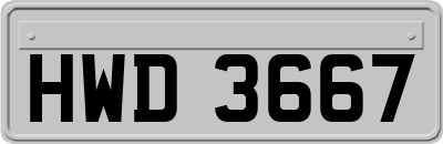HWD3667