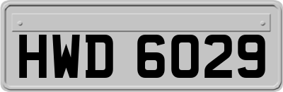HWD6029