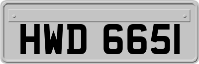 HWD6651