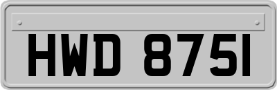 HWD8751