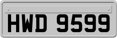 HWD9599