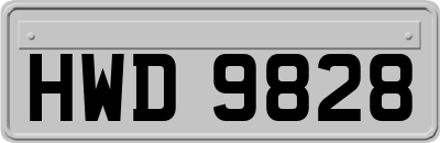 HWD9828