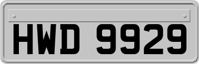 HWD9929
