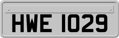 HWE1029