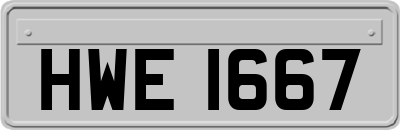 HWE1667
