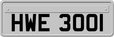 HWE3001