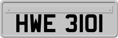 HWE3101