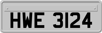 HWE3124