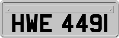 HWE4491