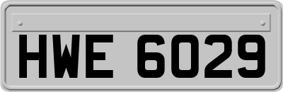 HWE6029