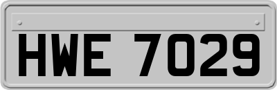 HWE7029