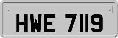 HWE7119