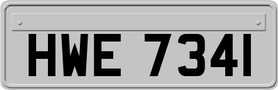 HWE7341